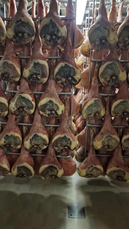 Albergo Ai Sapori San Daniele del Friuli Kültér fotó