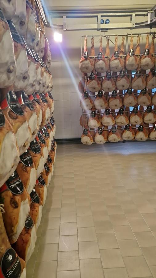 Albergo Ai Sapori San Daniele del Friuli Kültér fotó